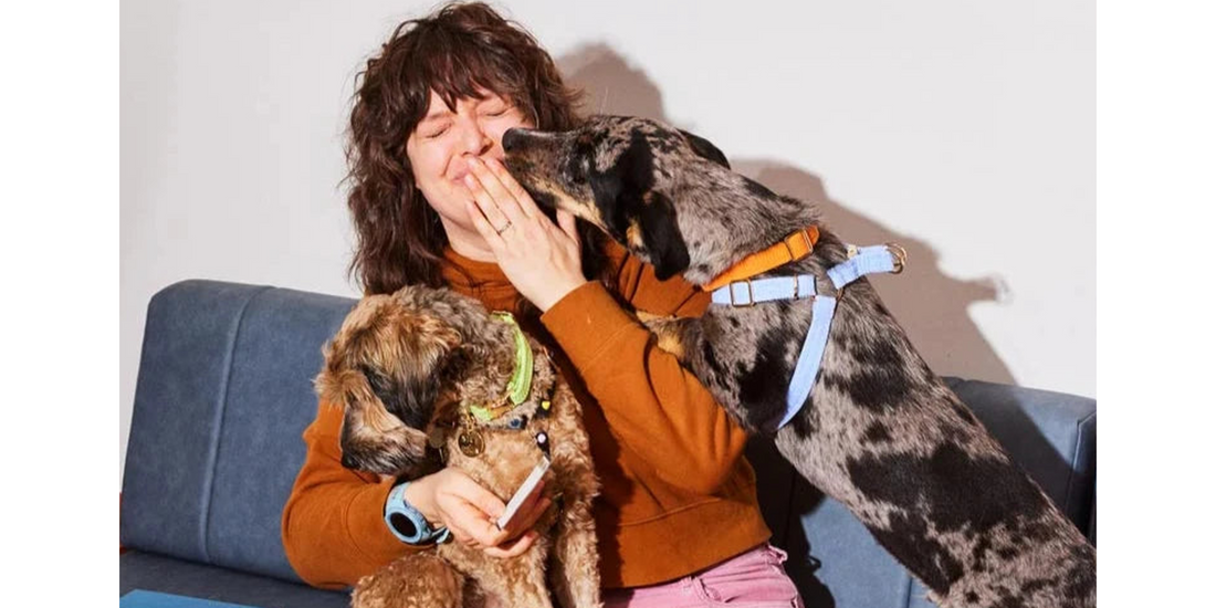 The Ultimate Fun Guide to Your Dog’s Life in Dubai!