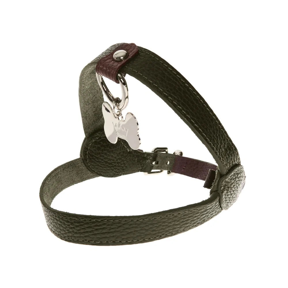 Maltipoo World Classic Leather Harness, Old Money Collection