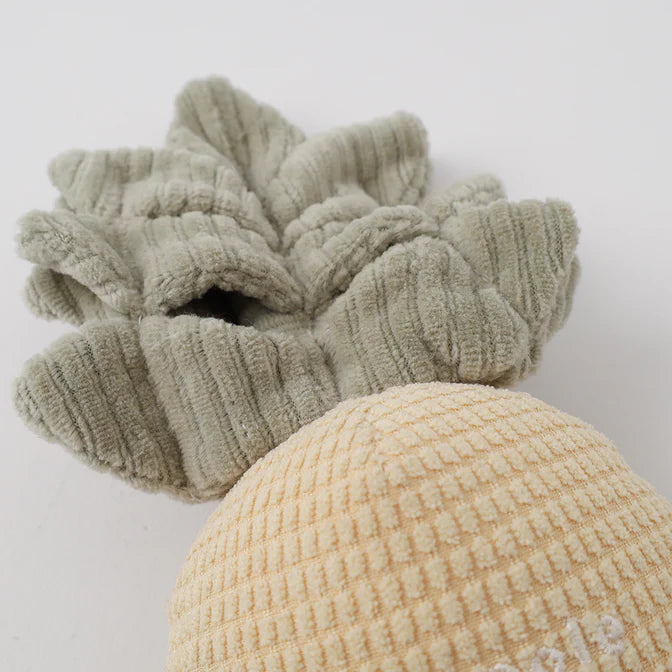 Moncheri Pineapple Nose Work Toy