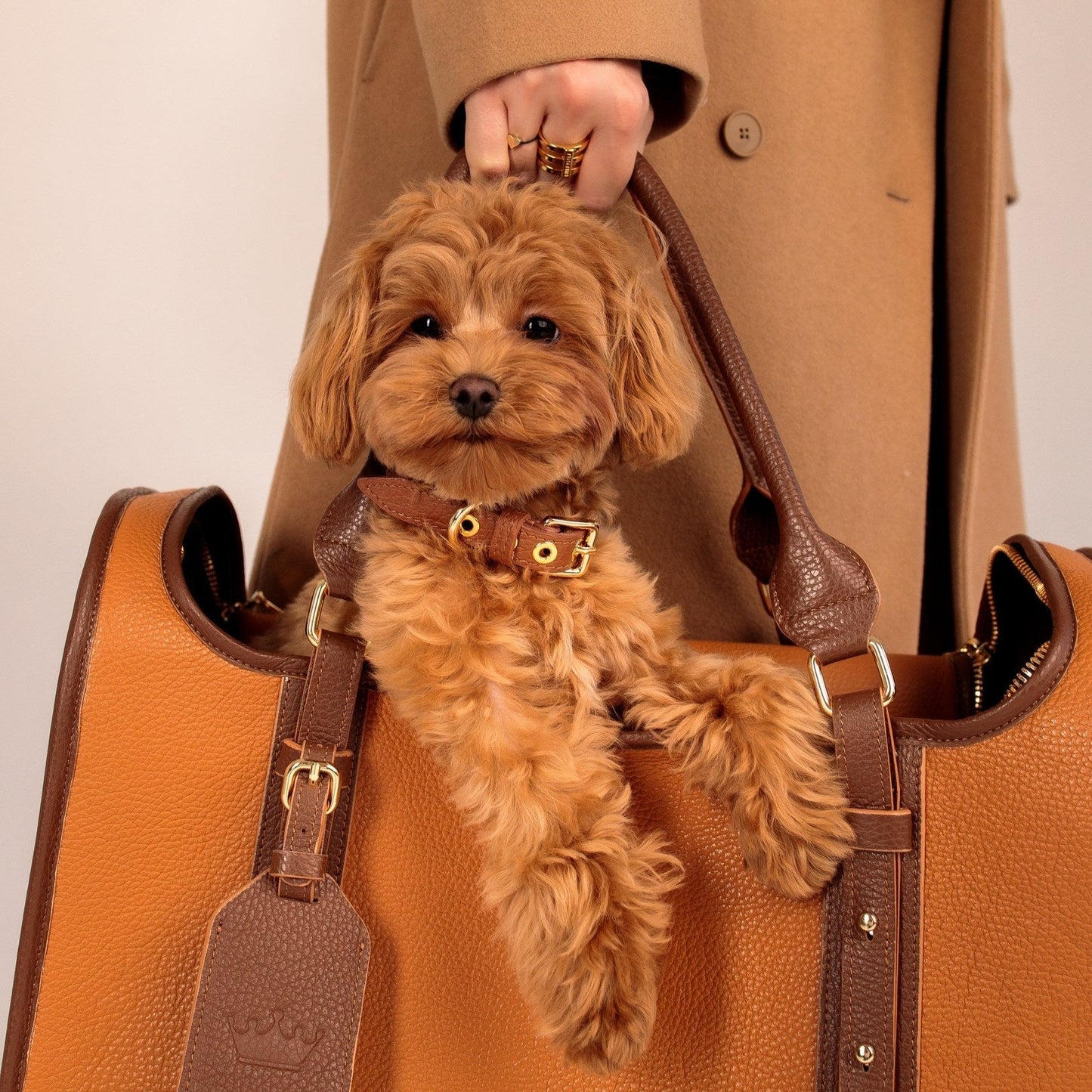 Maltipoo World Avia-carrier Bag, Brown