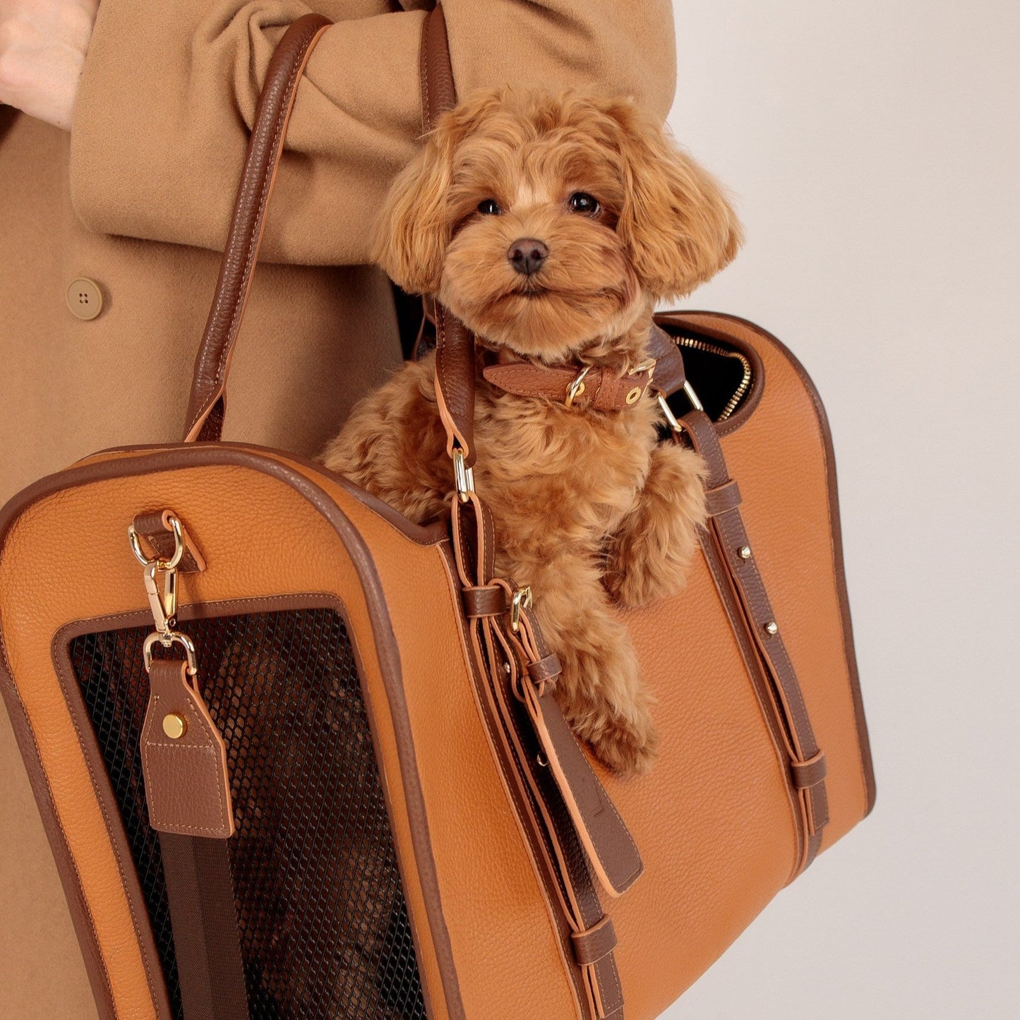 Maltipoo World Avia-carrier Bag, Brown
