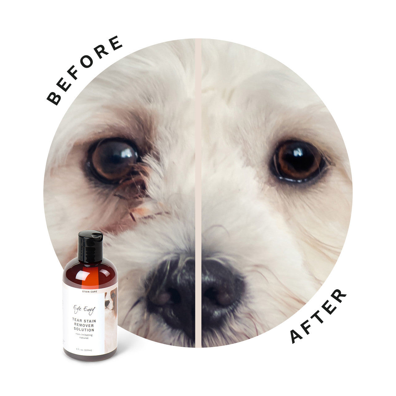 Eye Envy Tear Stain Remover Solution for Dogs, 235 ml