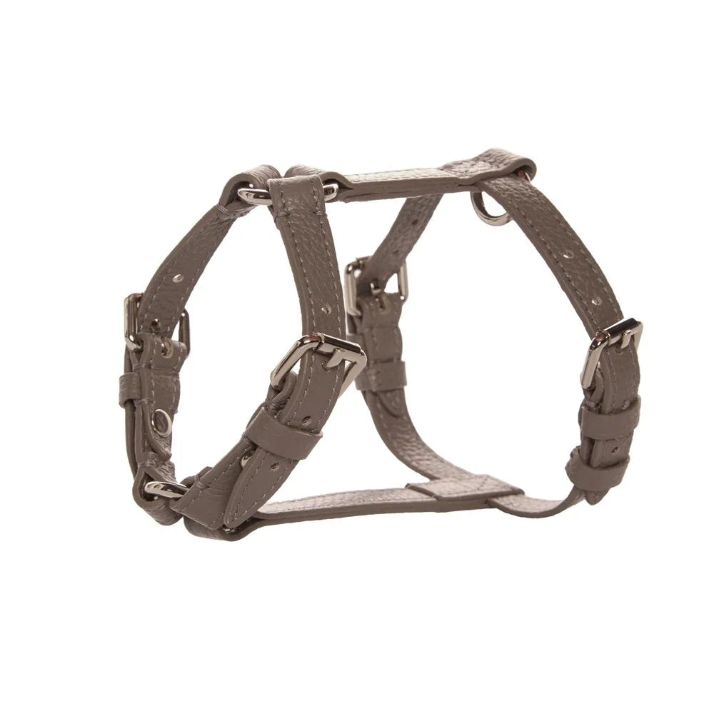 Maltipoo World Harness Hug, Grey