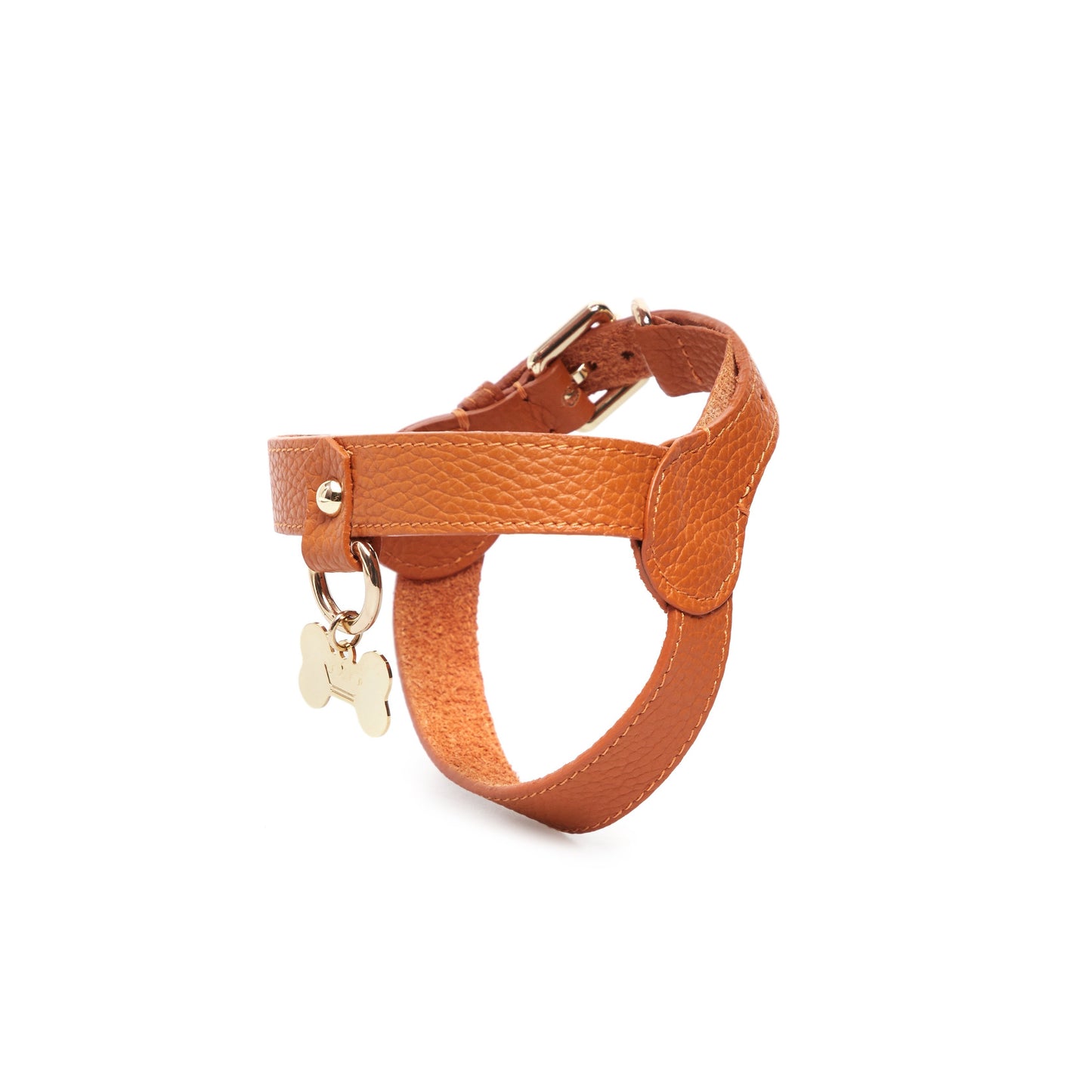 Maltipoo World Classic Leather Harness, Orange