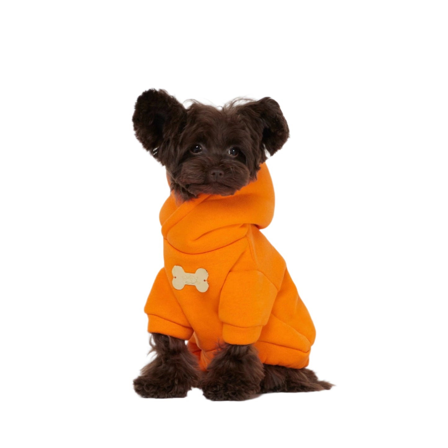 Maltipoo World 2 Paws Hoodie, Orange