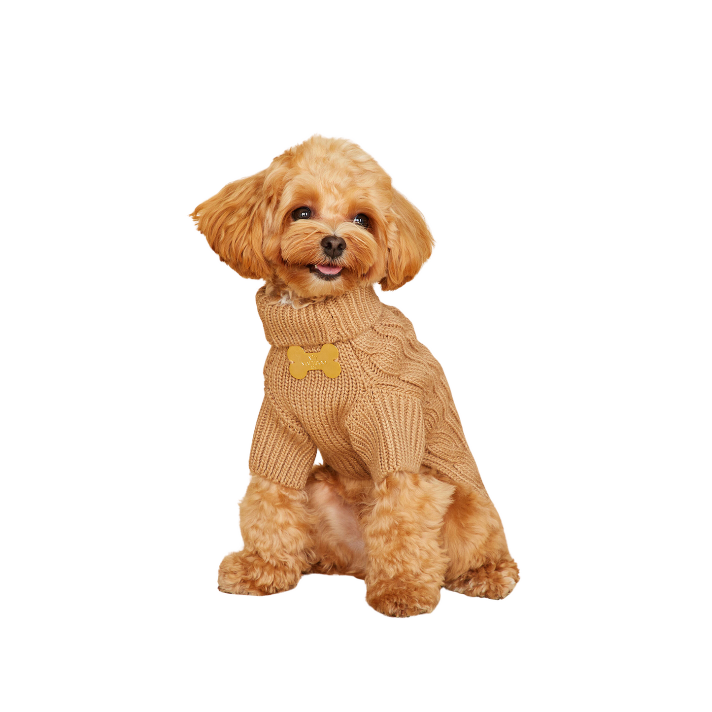 Maltipoo World Pigtail Sweater, Cacao