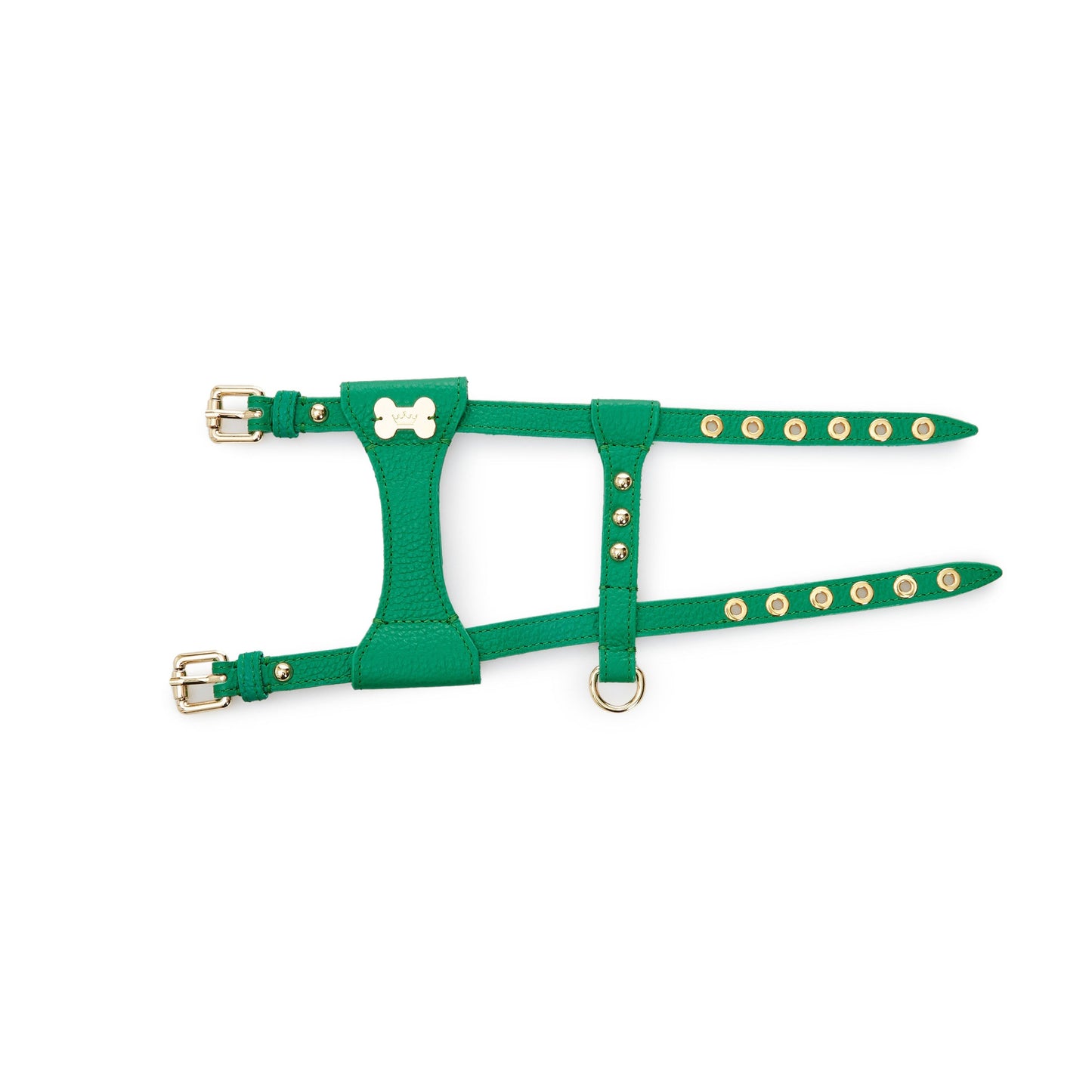 Maltipoo World Dot Leather Harness, Green