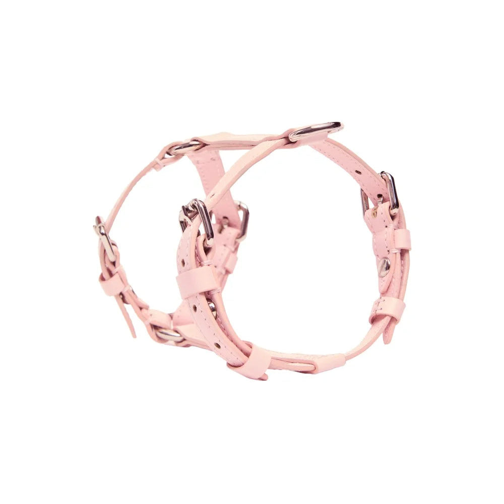 Maltipoo World Harness Hug, Pink