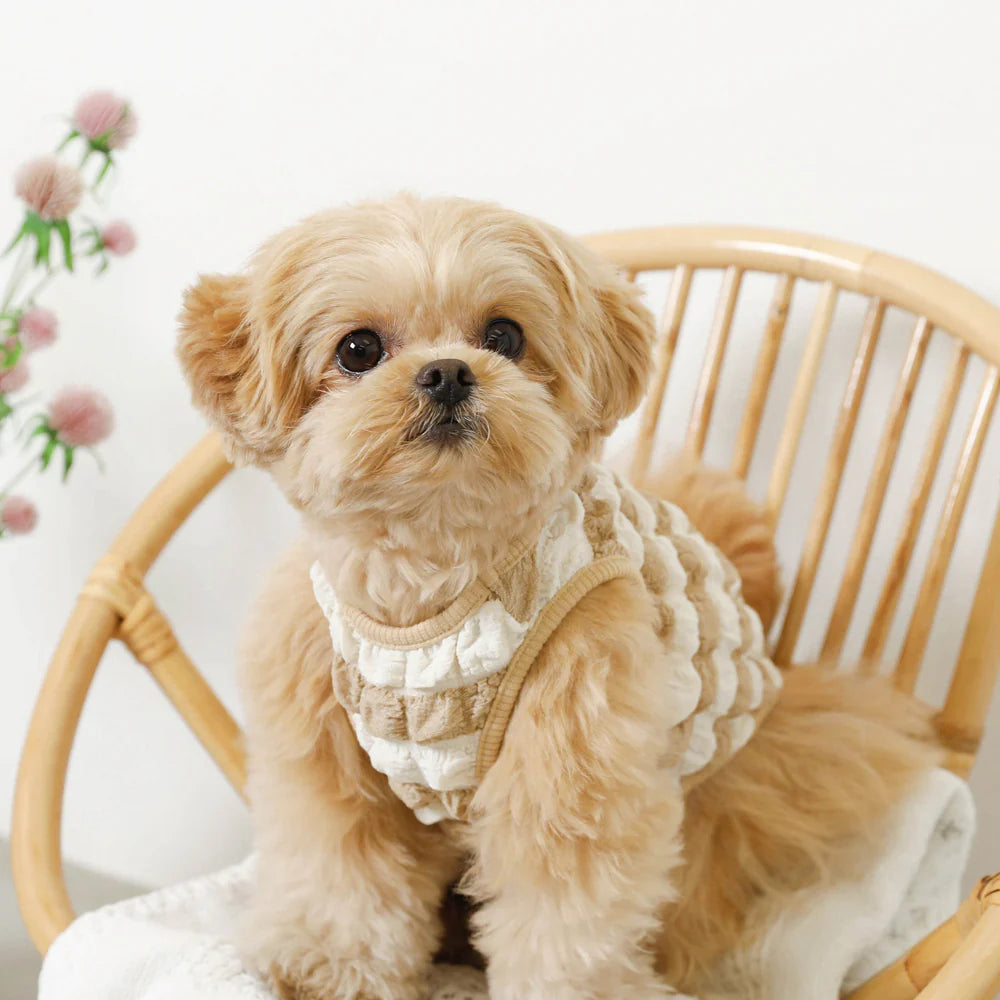 Moncheri Pocopoco Sleeve Tops With A Cool Ribbon, Beige