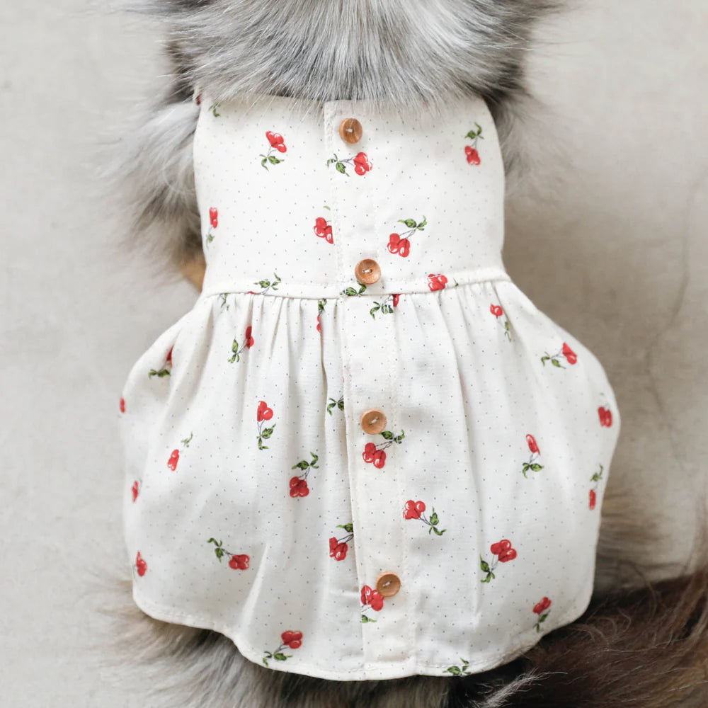 Moncheri Cool Cherry Dot frill Dress