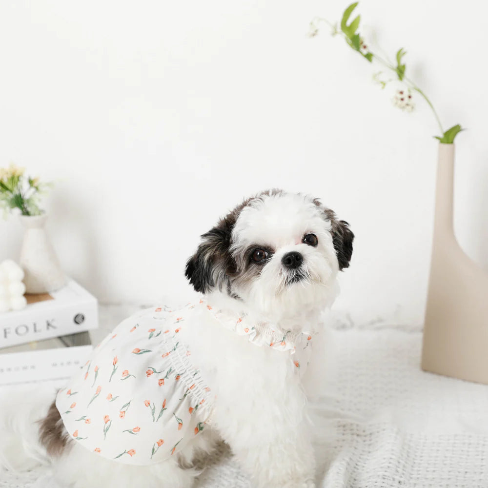 Moncheri Cold Tulip Pattern Gather Shirring Dress