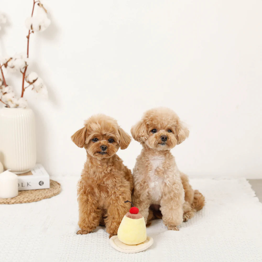 Moncheri Nose Work Pudding Toy