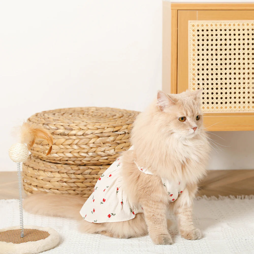 Moncheri Cool Cherry Dot frill Dress
