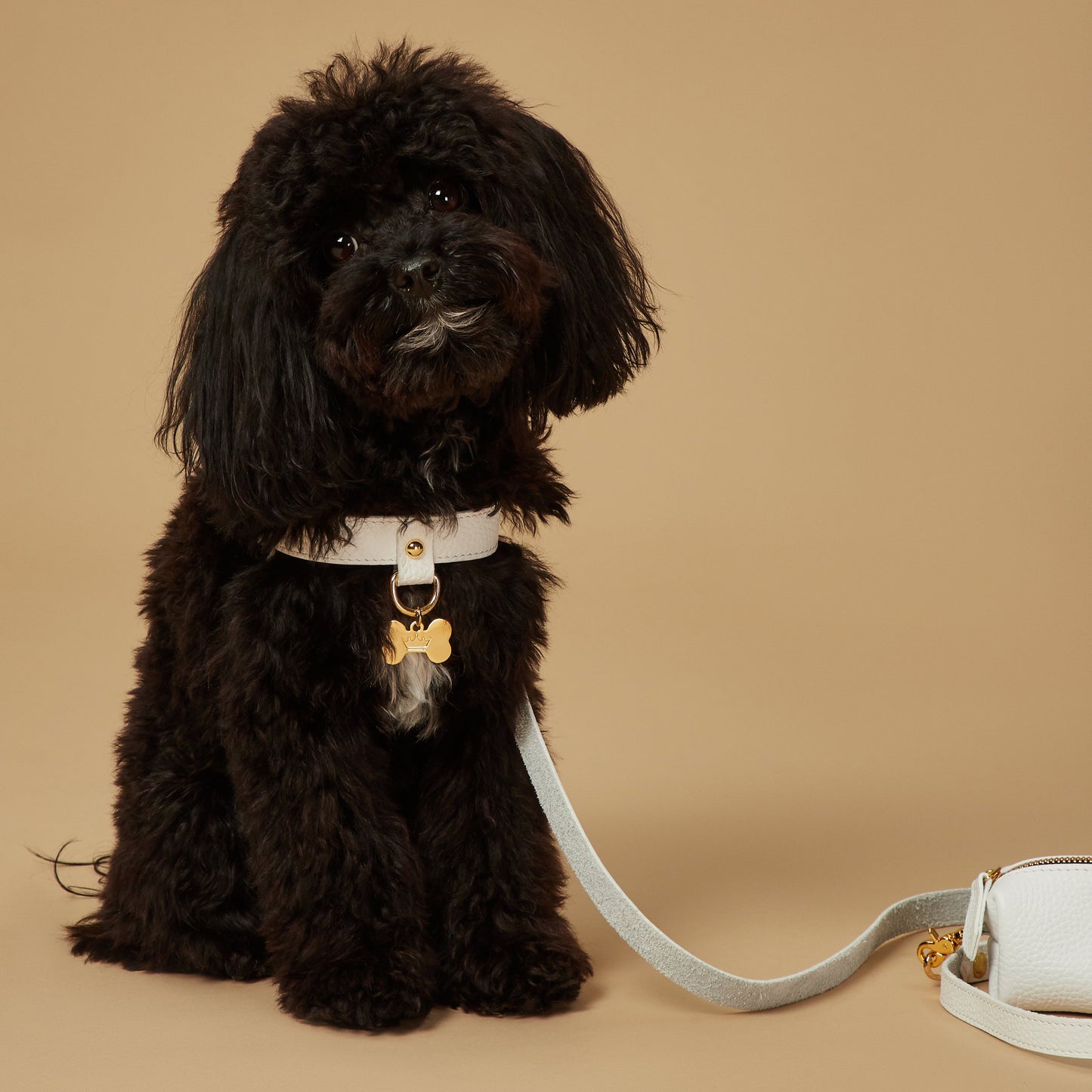 Maltipoo World Classic Leather Harness, White