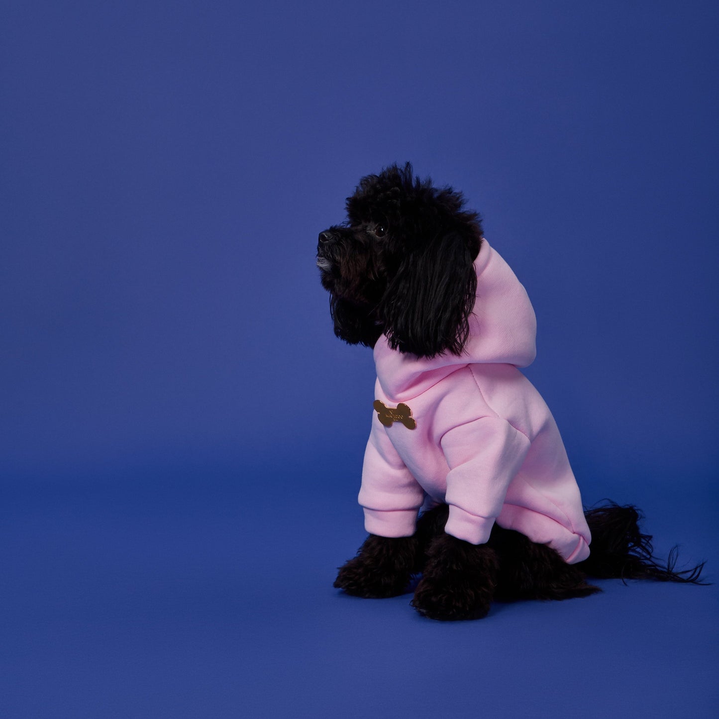 Maltipoo World 2 Paws Hoodie, Pink