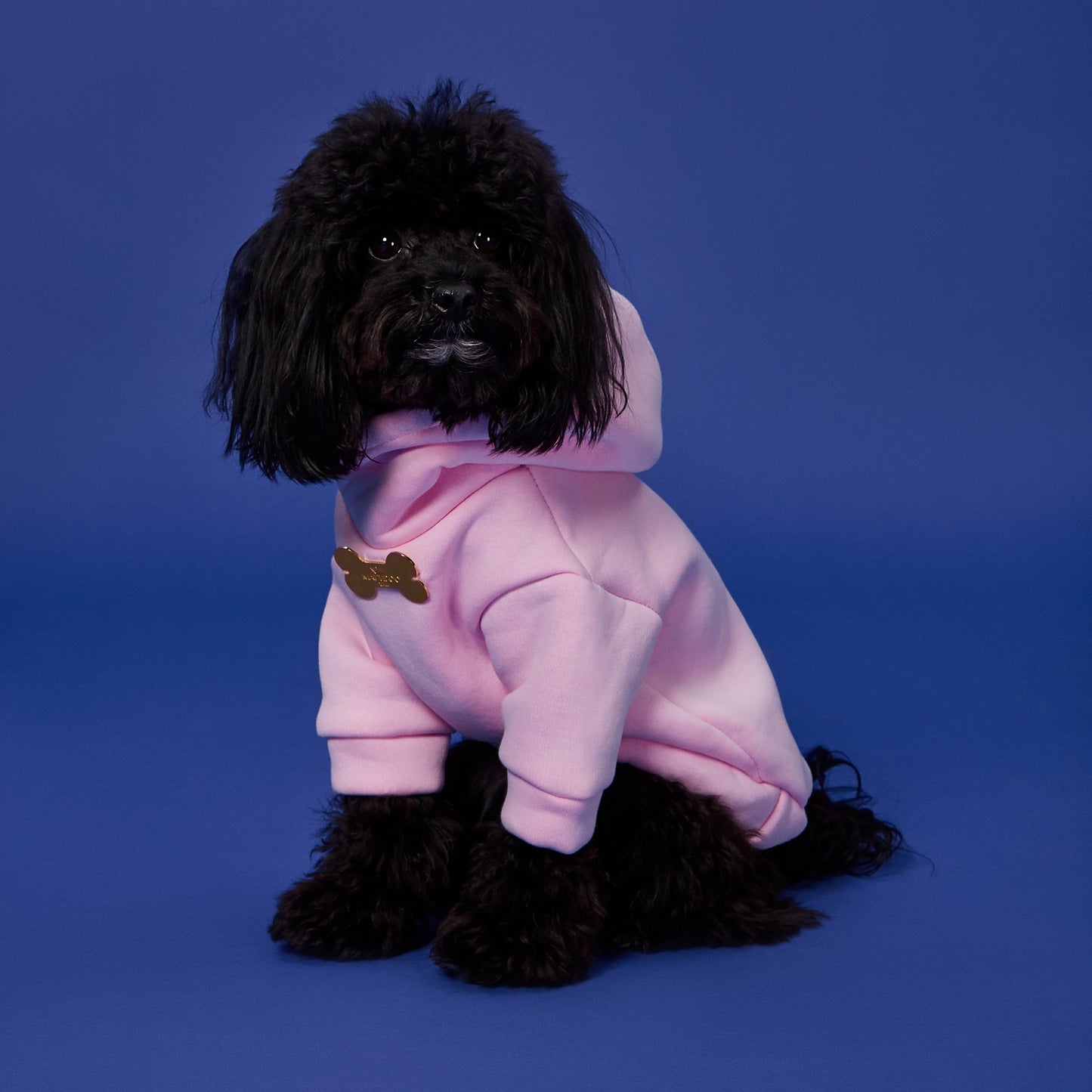 Maltipoo World 2 Paws Hoodie, Pink