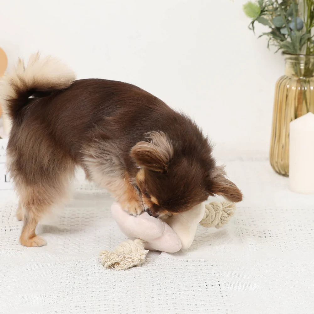 Moncheri Nose Work Flower Type Rope Toy