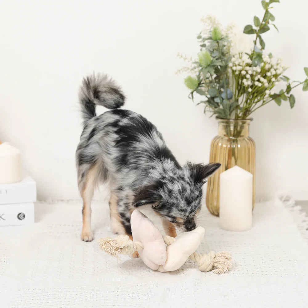 Moncheri Nose Work Flower Type Rope Toy