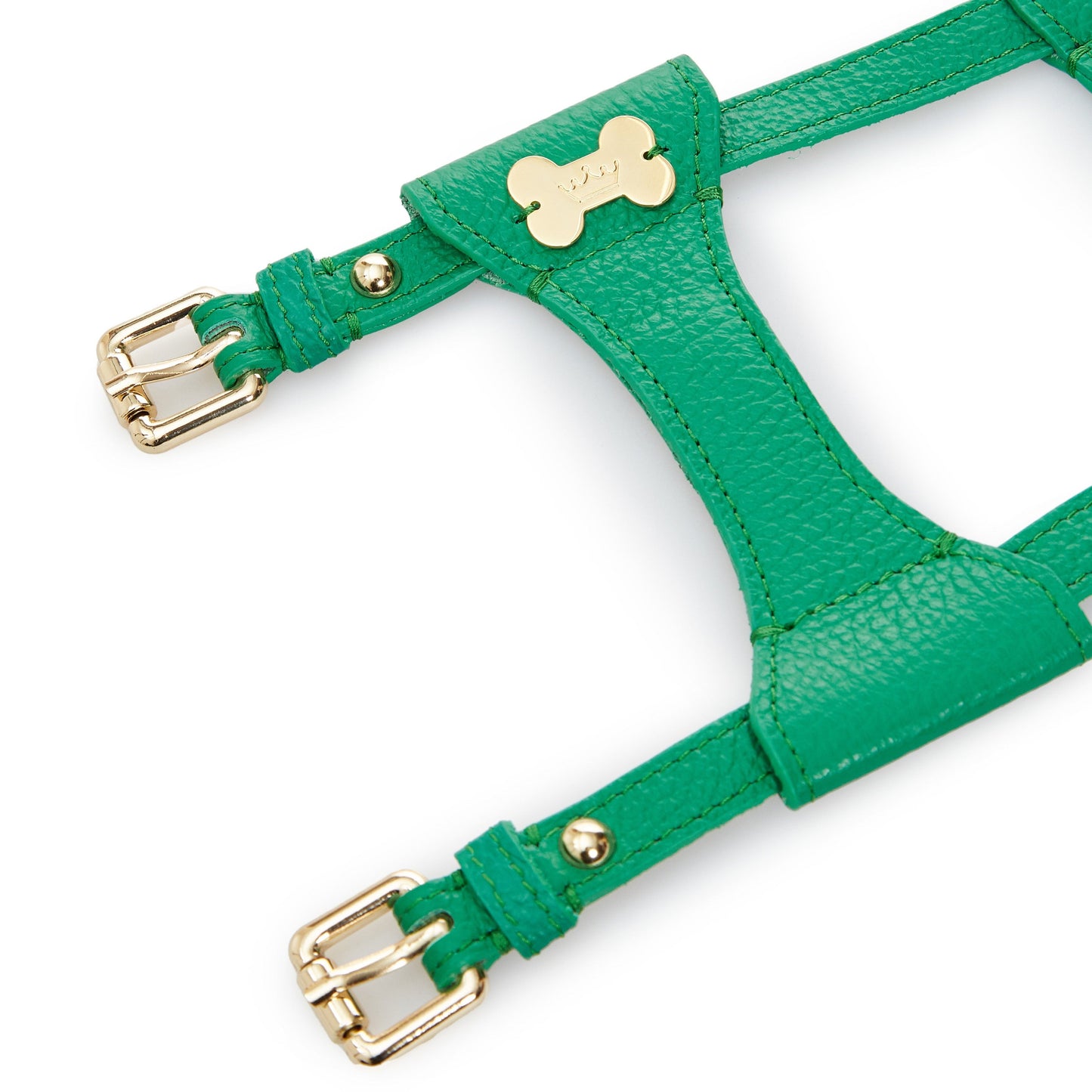 Maltipoo World Dot Leather Harness, Green