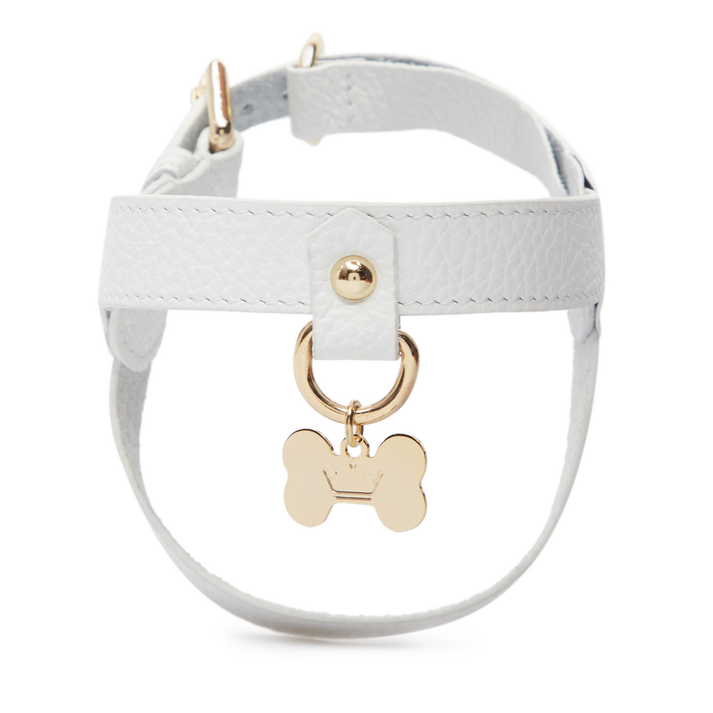 Maltipoo World Classic Leather Harness, White