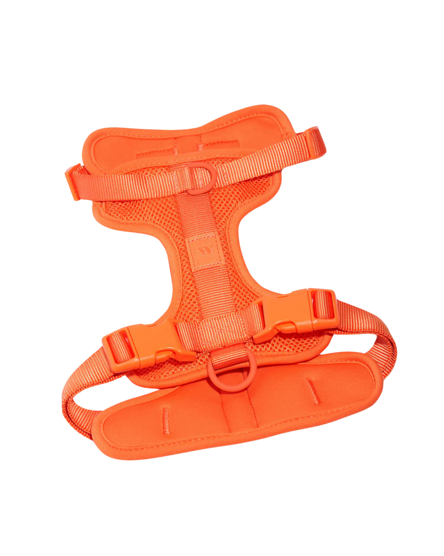 Wild One Harness, Blaze