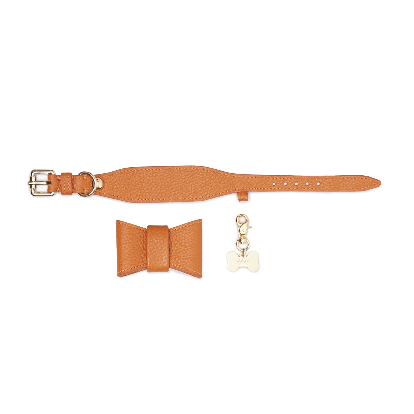 Maltipoo World Bow Tie Collar, Orange