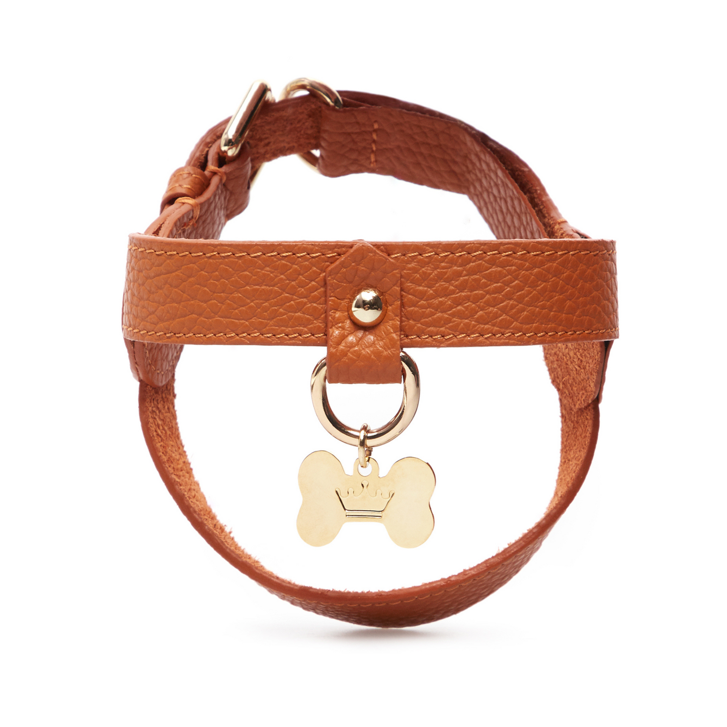 Maltipoo World Classic Leather Harness, Orange