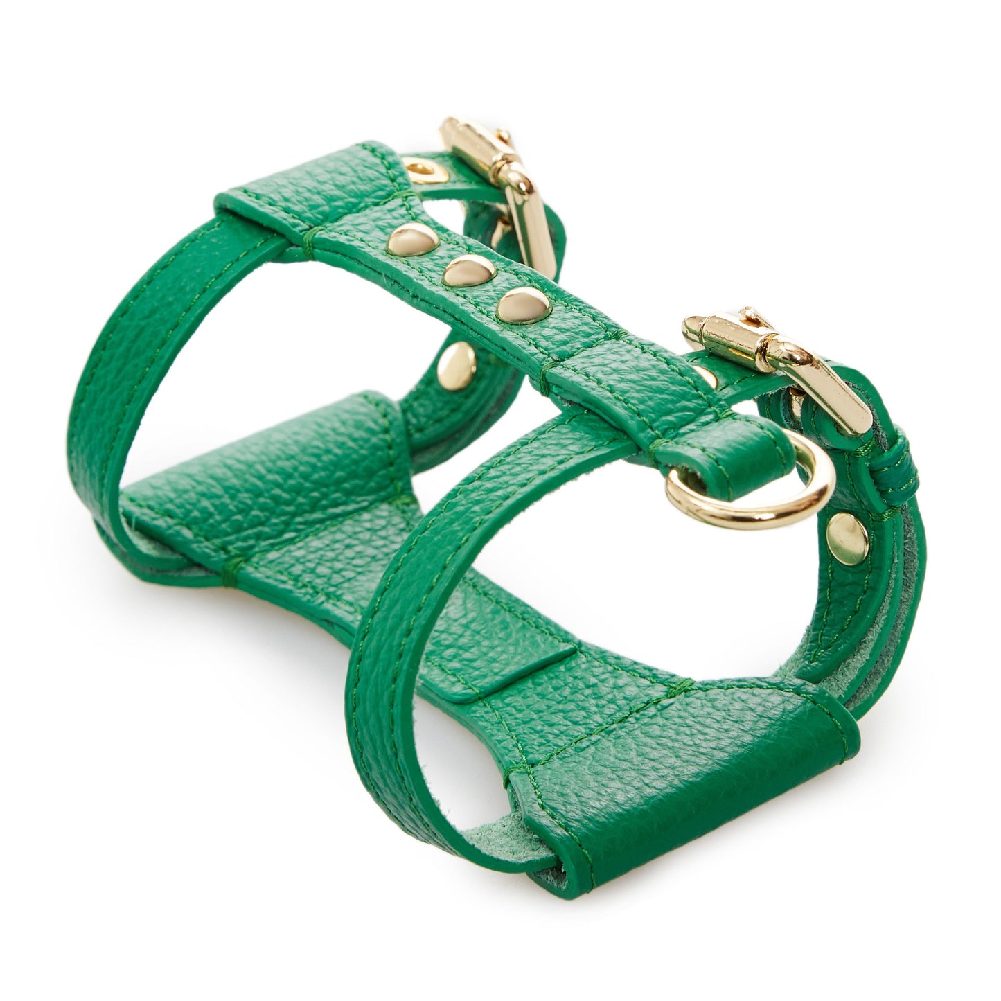 Maltipoo World Dot Leather Harness, Green