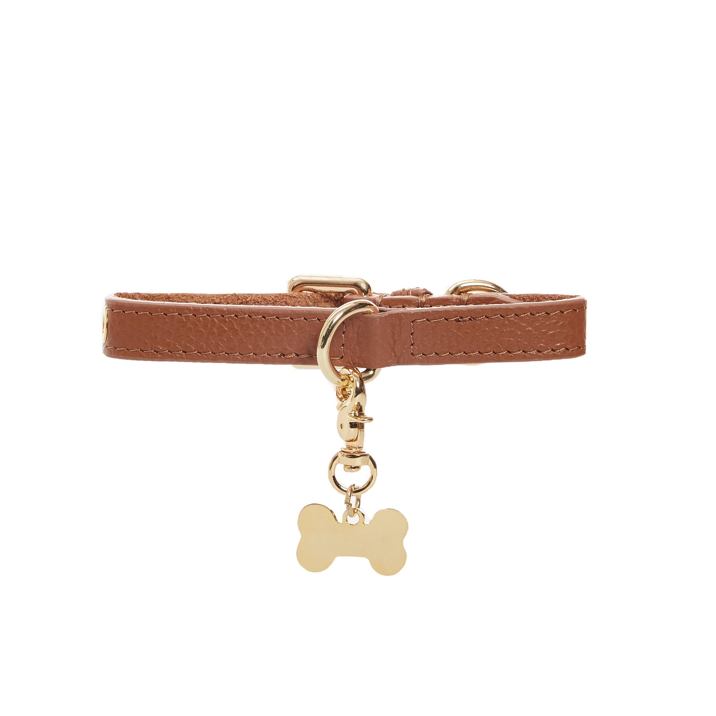 Maltipoo World Dot Collar, Brown