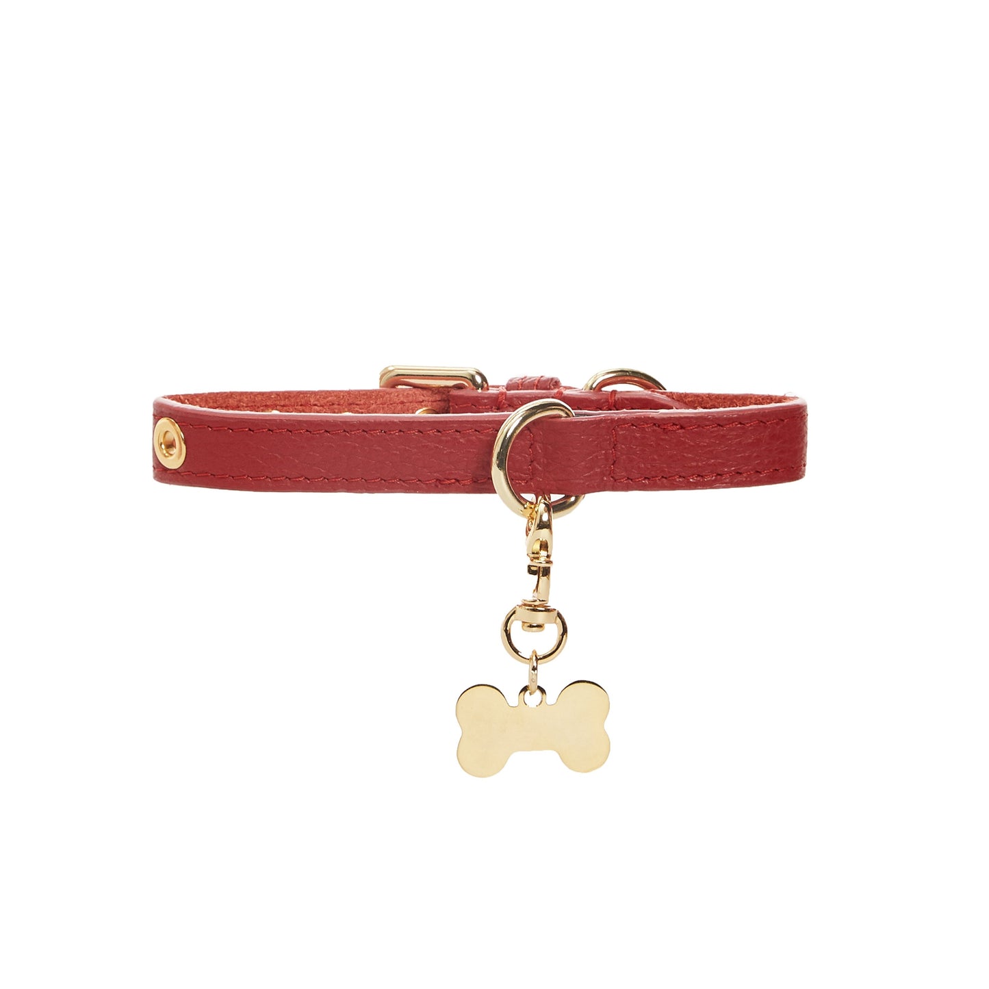 Maltipoo World Dot Collar, Burgundy