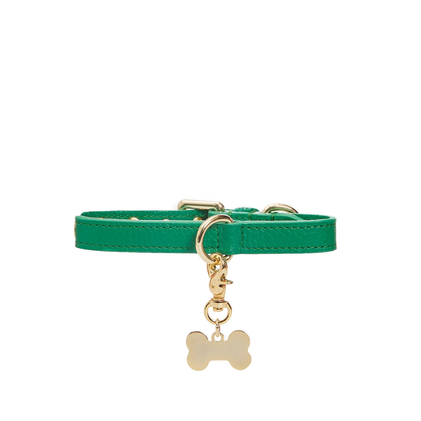 Maltipoo World Dot Collar, Green