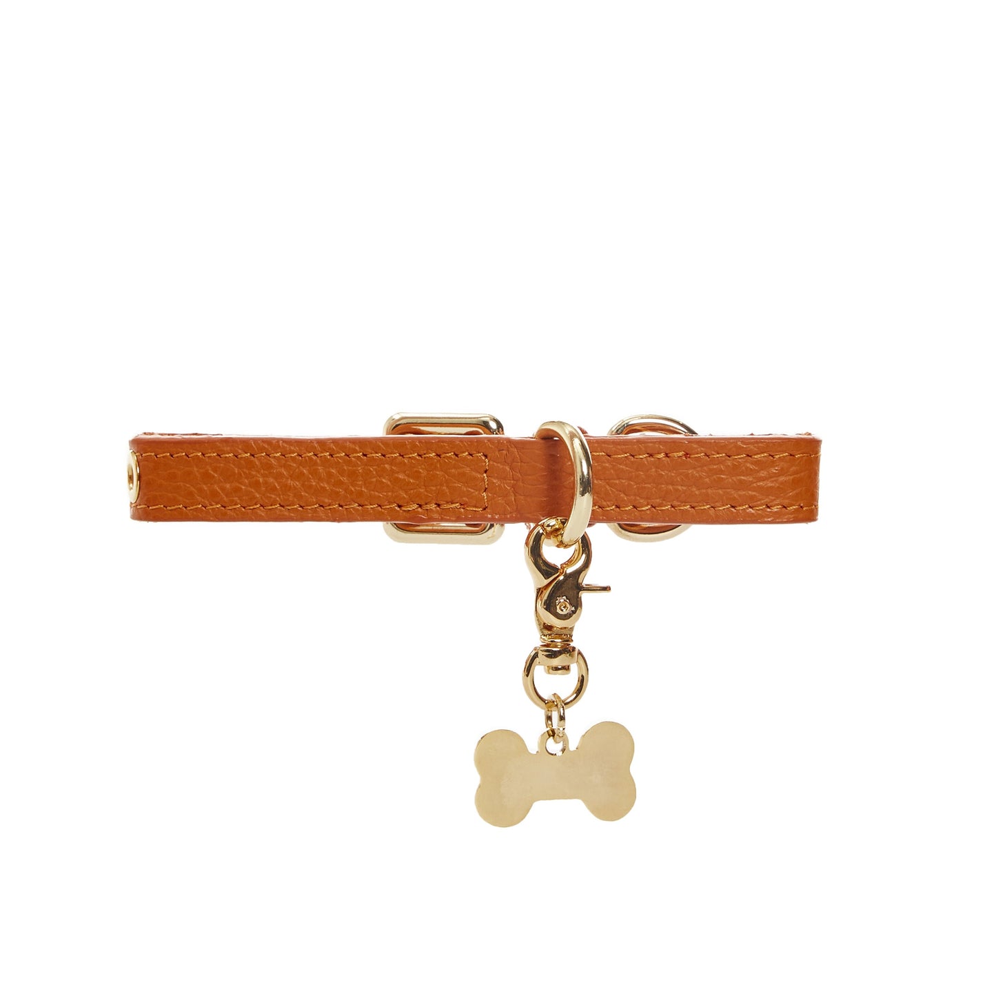 Maltipoo World Dot Collar, Orange