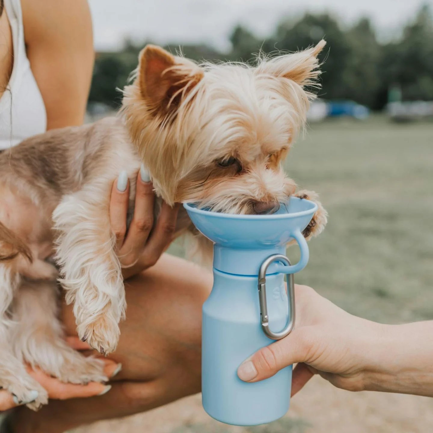 Springer Mini Travel Dog Water Bottle, Sky Blue
