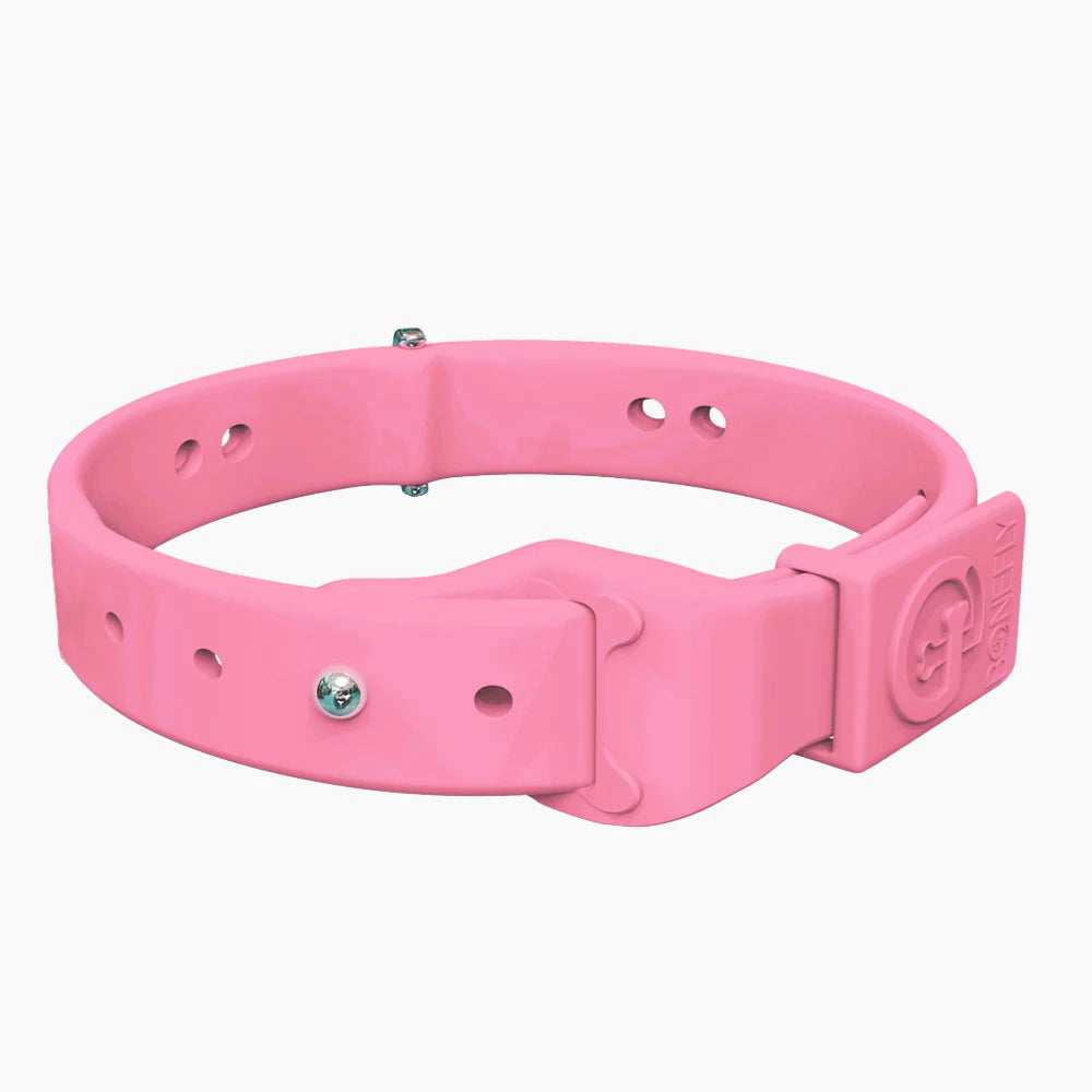 Bonefly Boneflex+ Ultra Baby Pink Collar, Silver / Clear