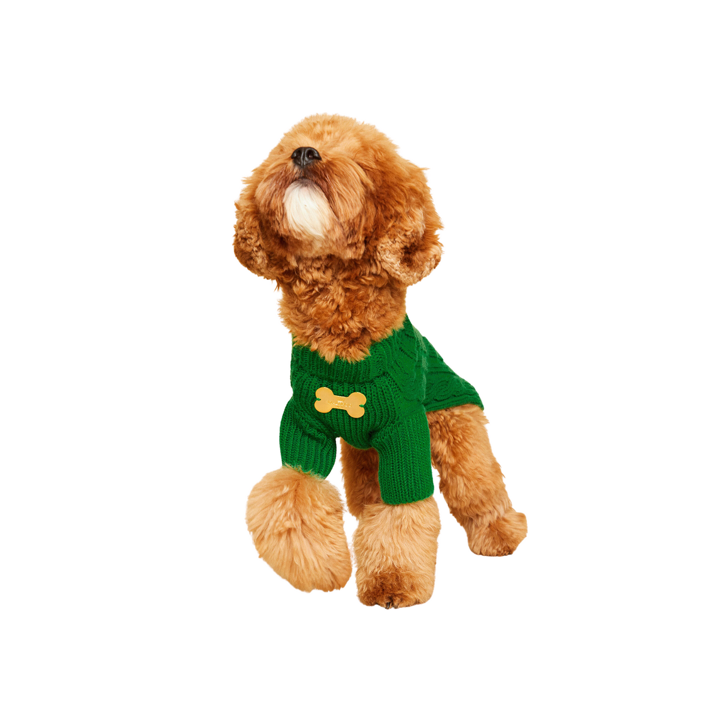 Maltipoo World Pigtail Sweater, Green