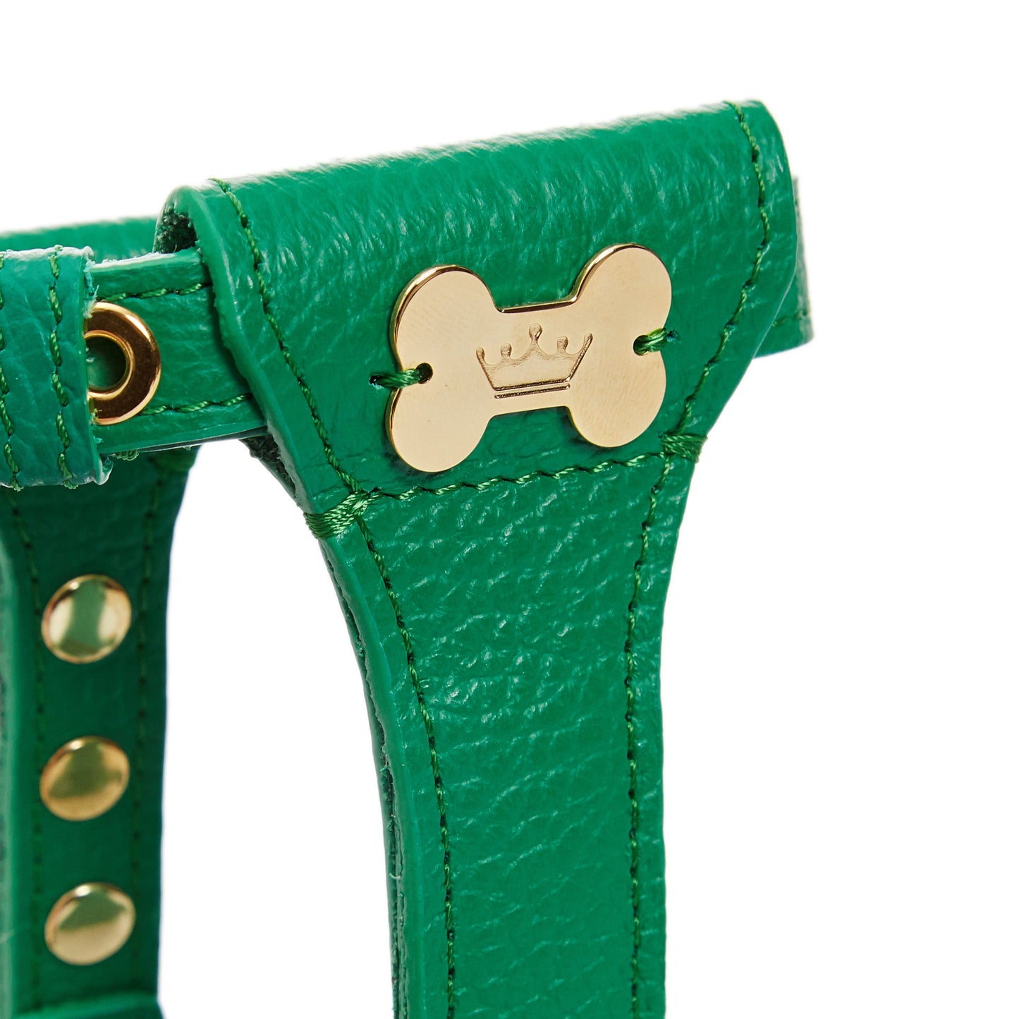 Maltipoo World Dot Leather Harness, Green