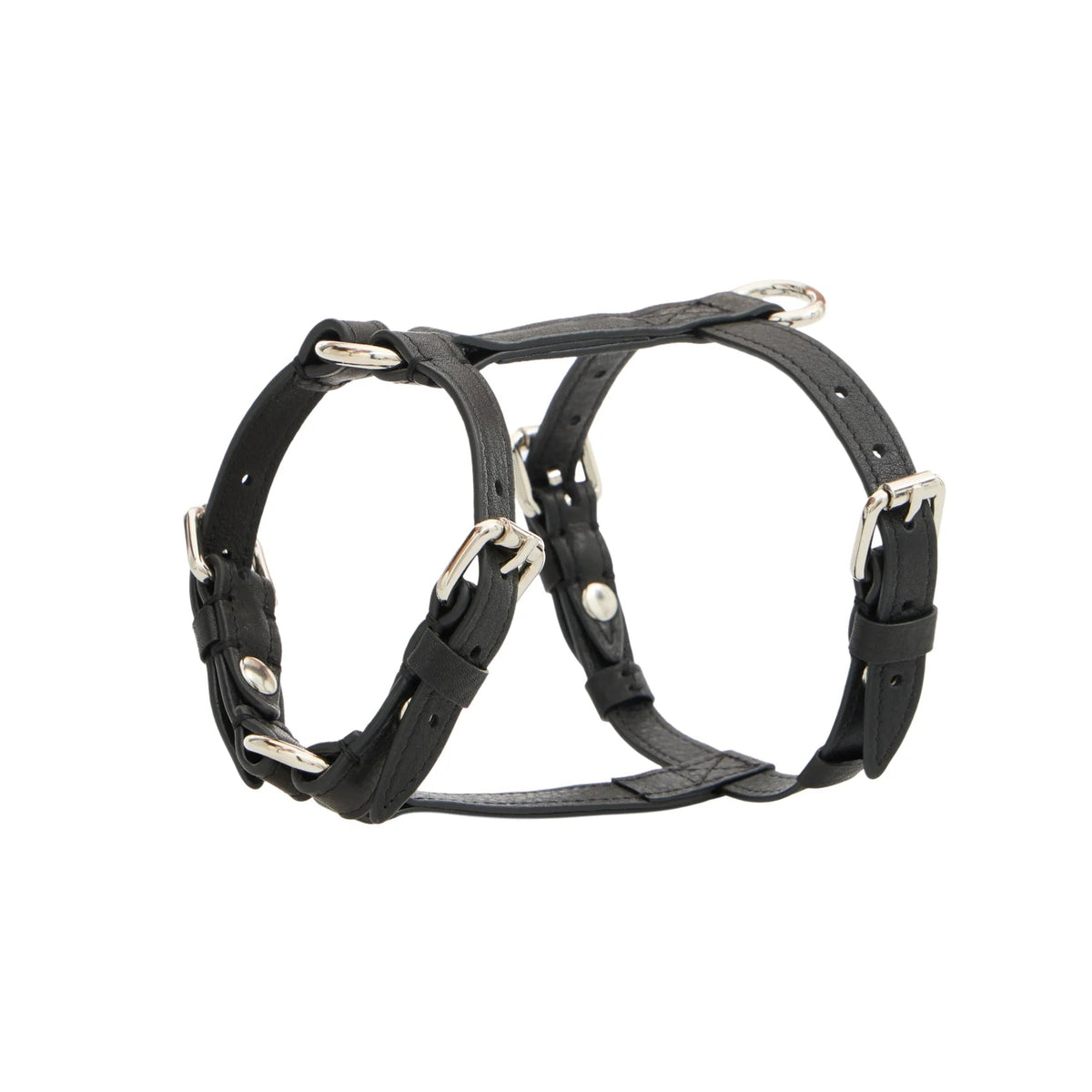 Maltipoo World Harness Hug, Noir Silver