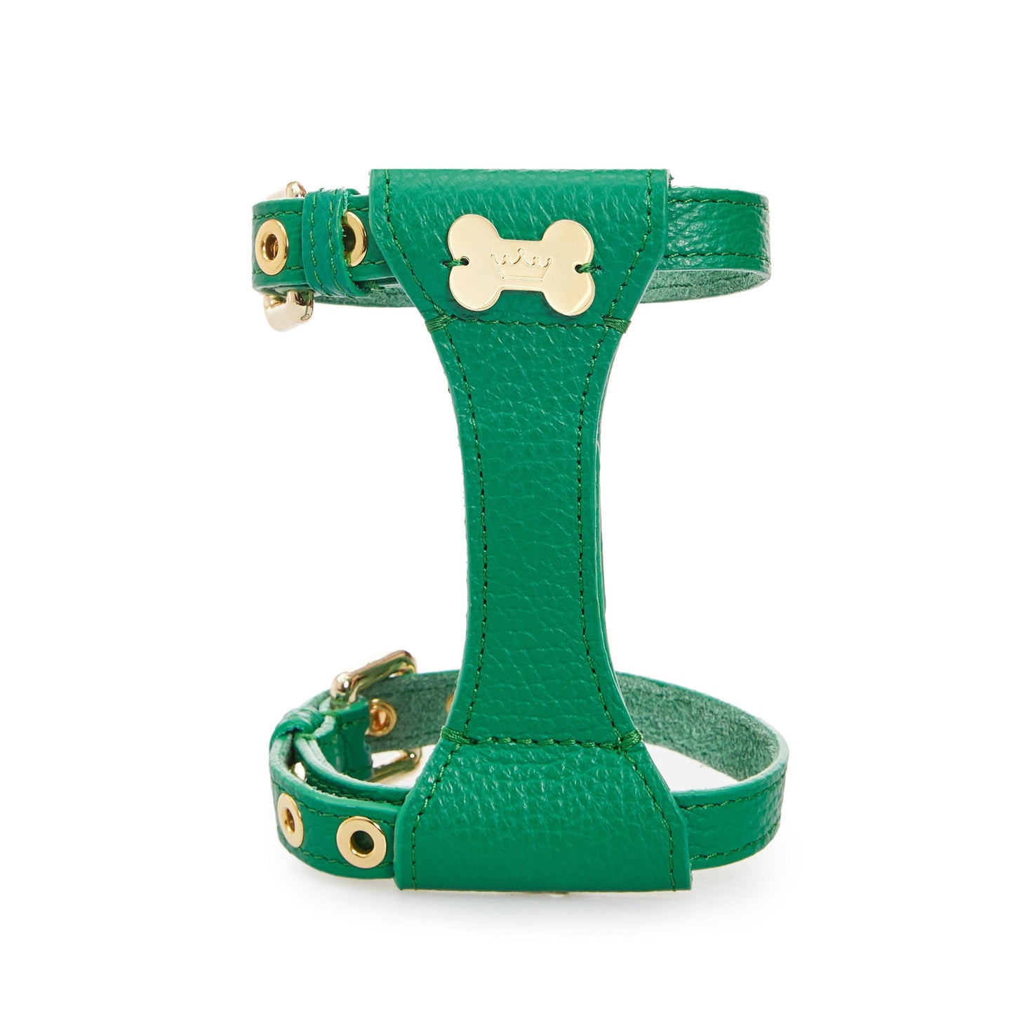Maltipoo World Dot Leather Harness, Green