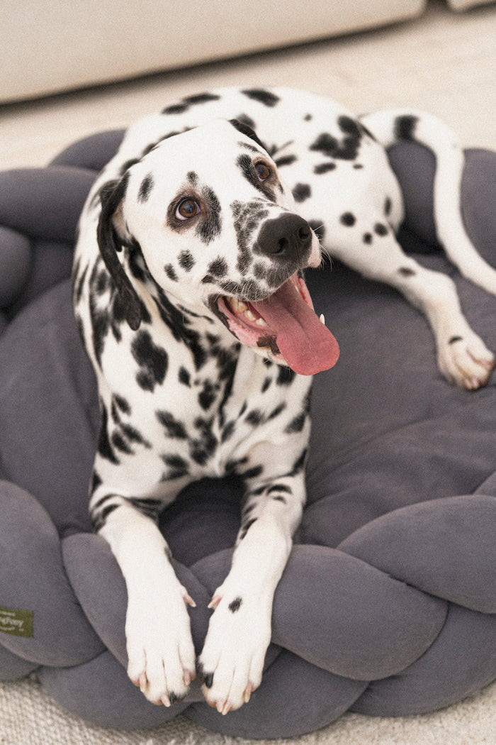 Hunting Pony Dog Bed Pony Kolosony, Dark Gray