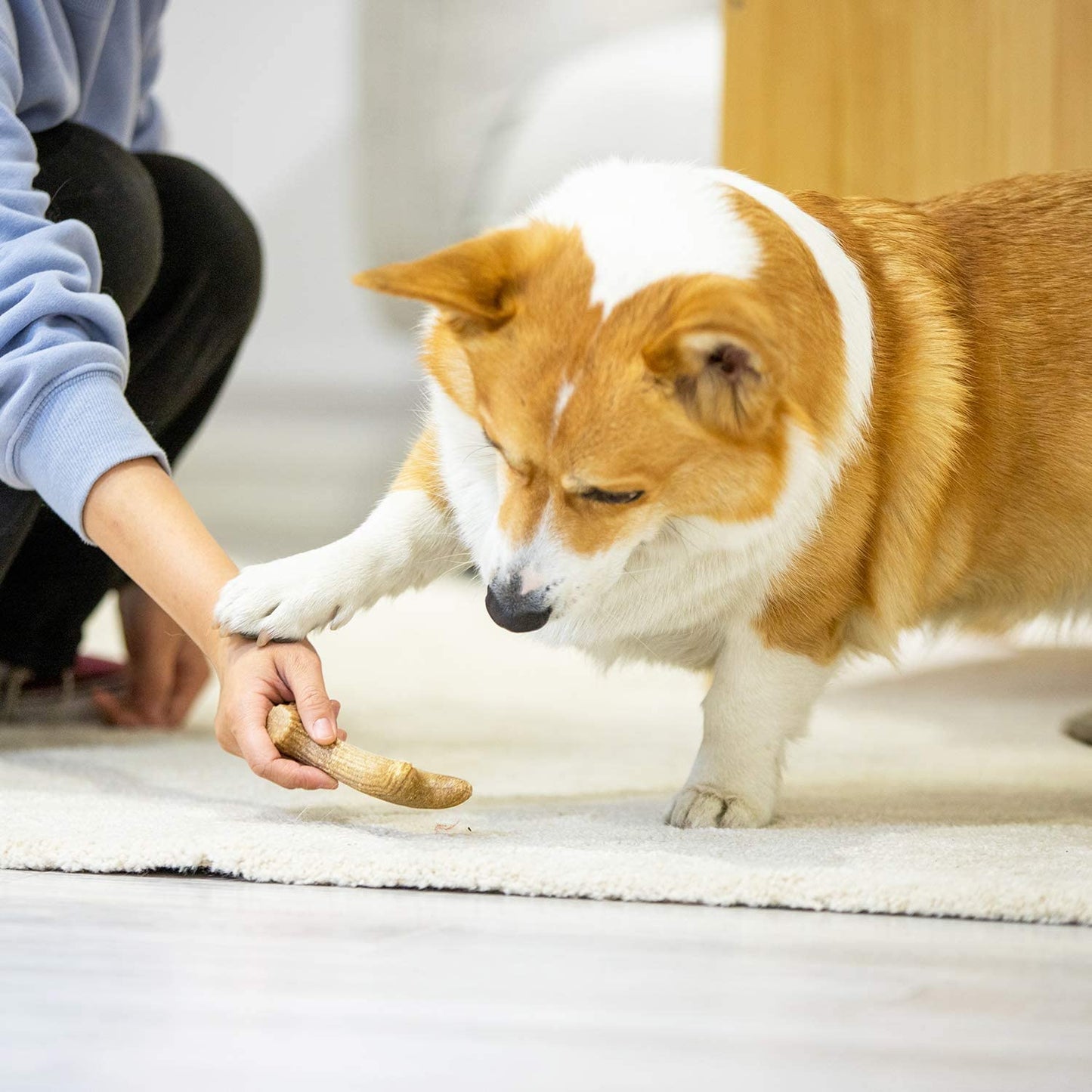GiGwi Dog Chew Wooden Antler with Natural Wood and Synthetic Material