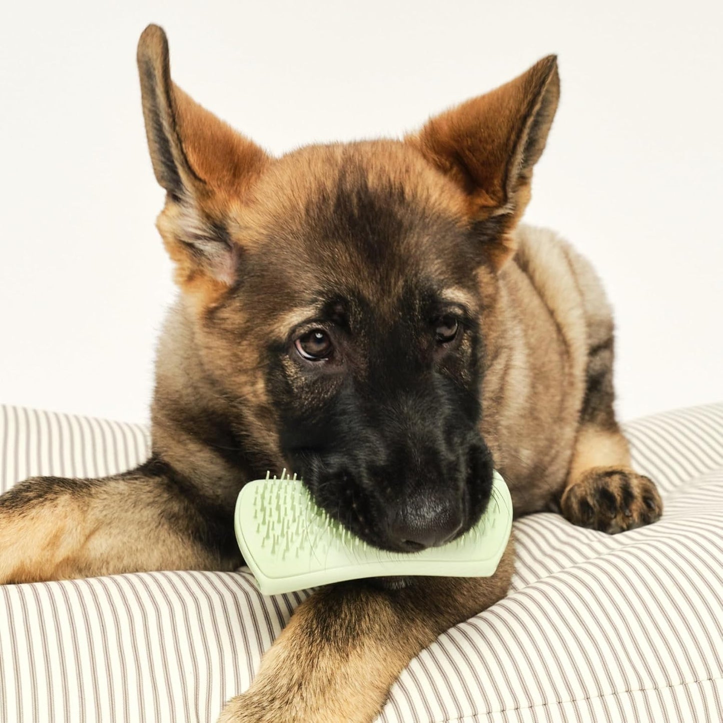 Tangle Teezer Pet Detangling Puppy Grooming Brush, Mint