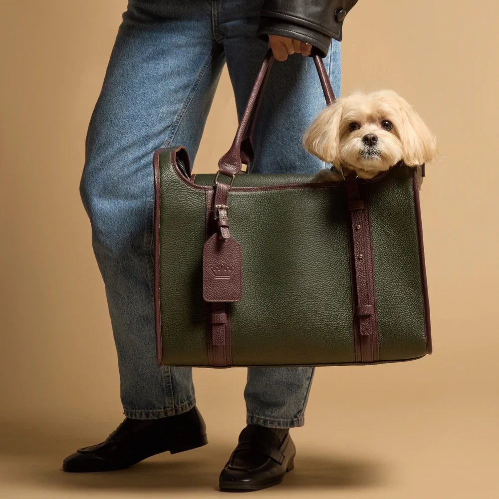 Maltipoo World Avia-Carrier Bag, Old Money Collection