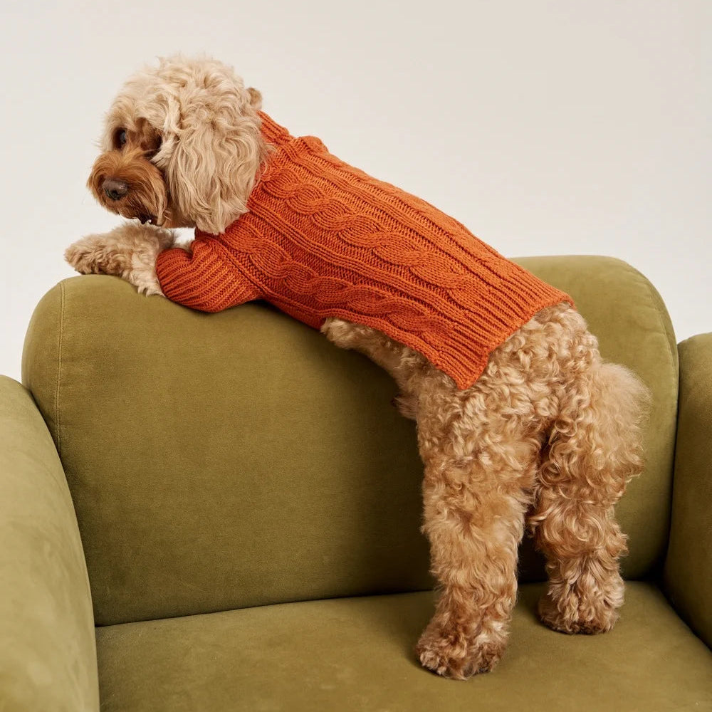Maltipoo World Pigtail Sweater, Terracota