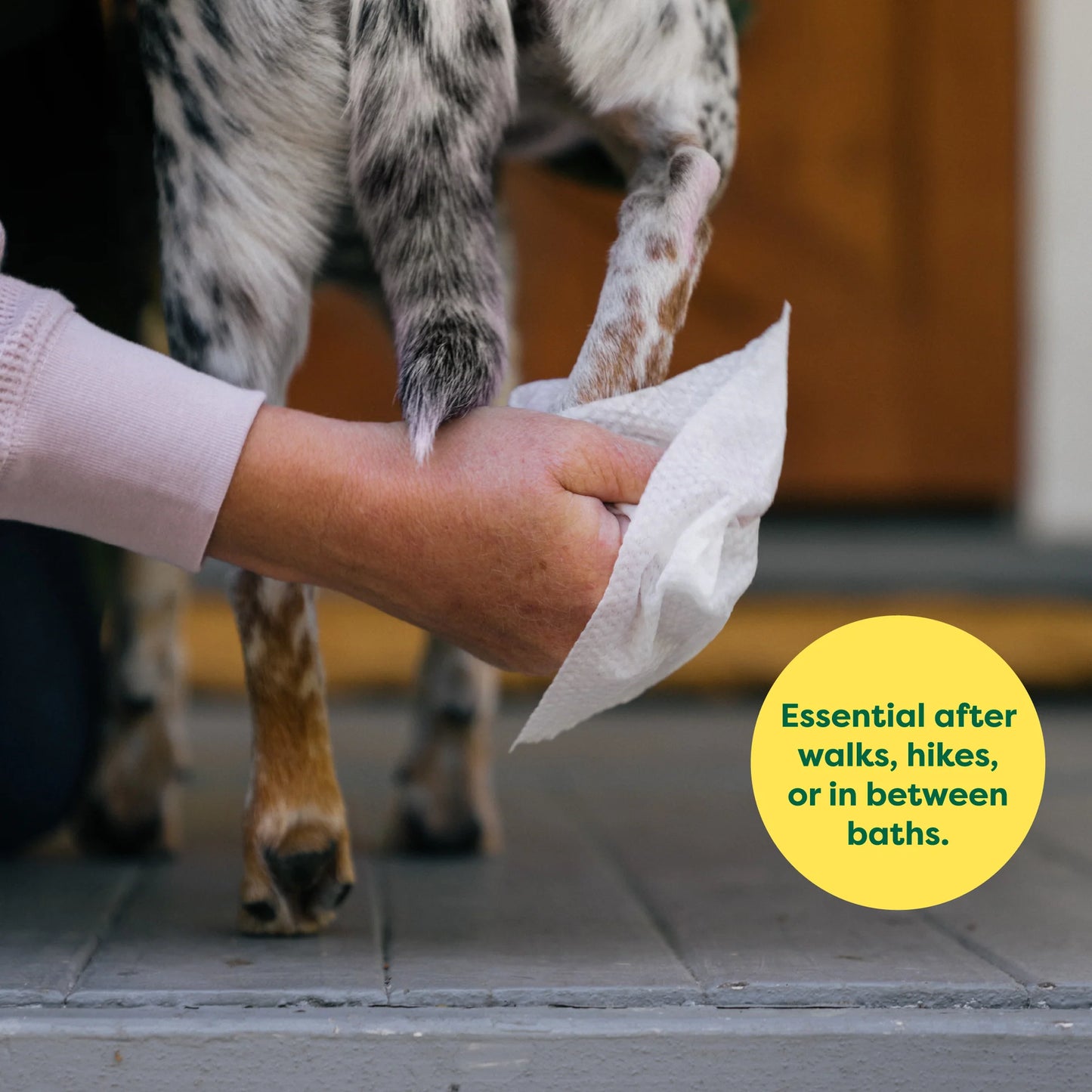Earth Rated Dog Wipes, 100 Count, Lavander