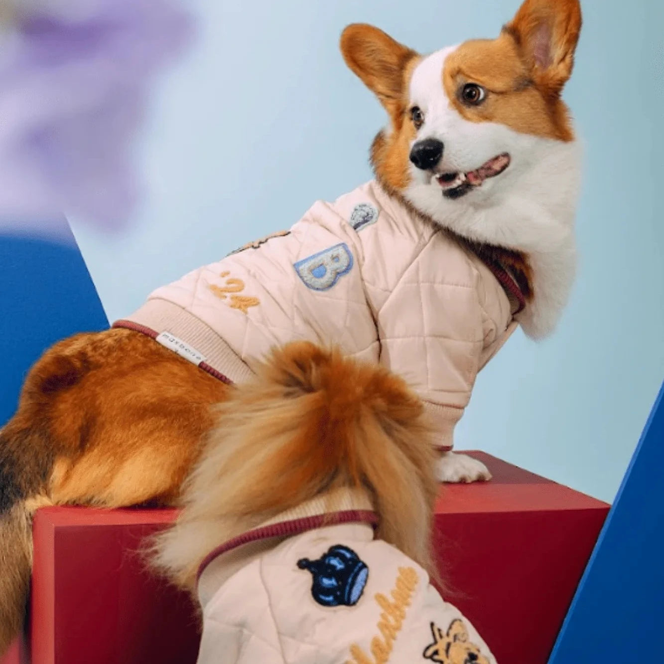 Bridgerton X Maxbone Bomber Jacket