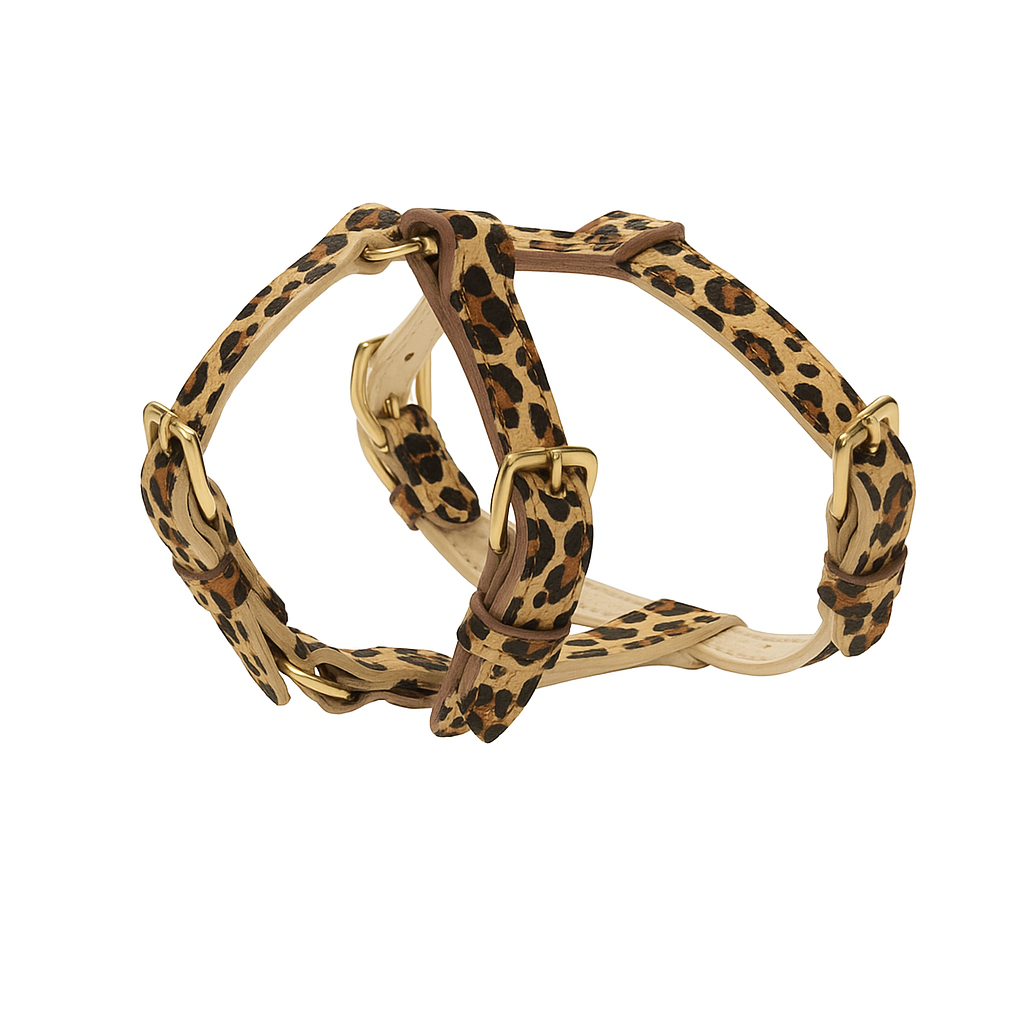 Maltipoo World Harness Hug, Leo