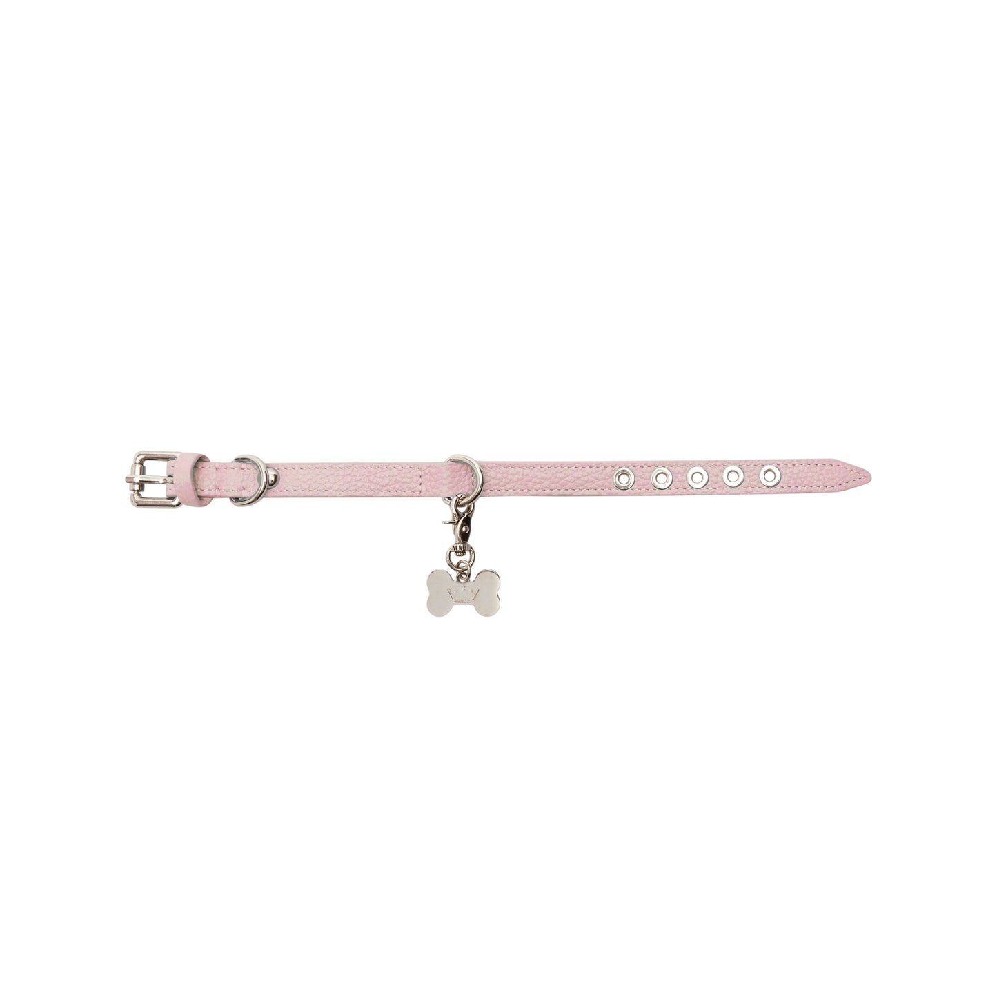 Maltipoo World Dot Collar, Pink