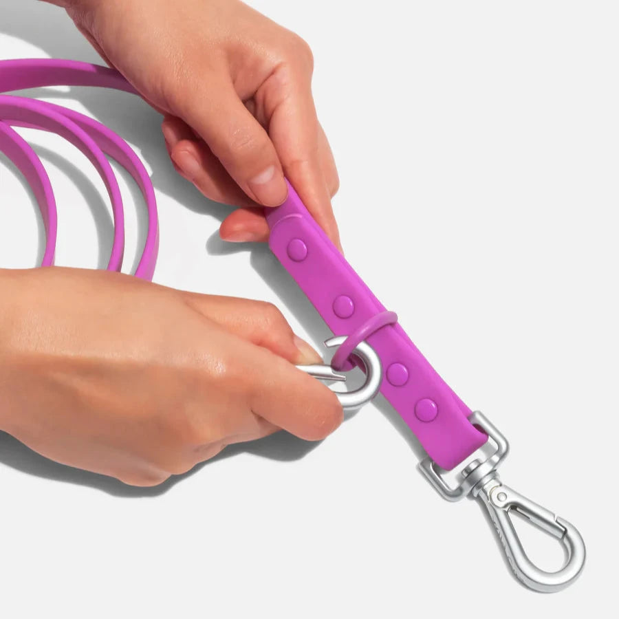 Wild One Leash, Orchid
