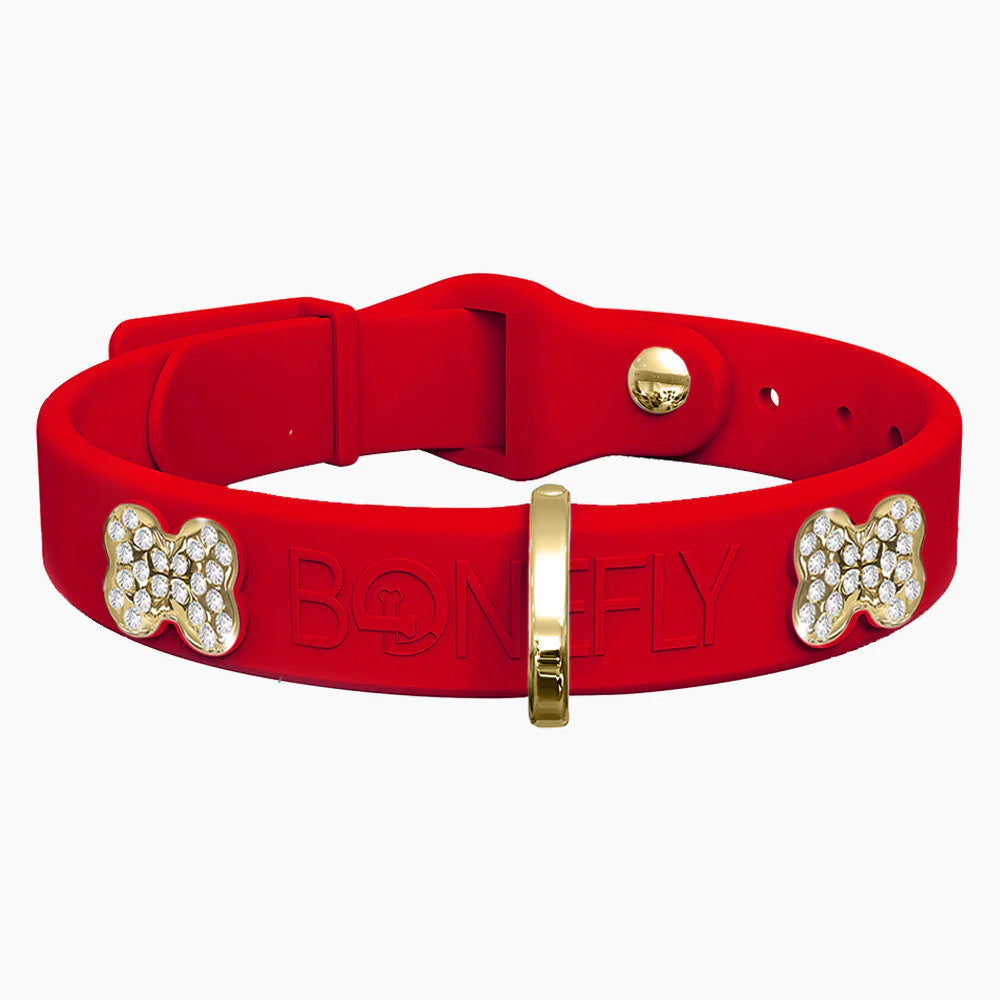 Bonefly Boneflex+ Ultra Red Collar, Gold / Clear