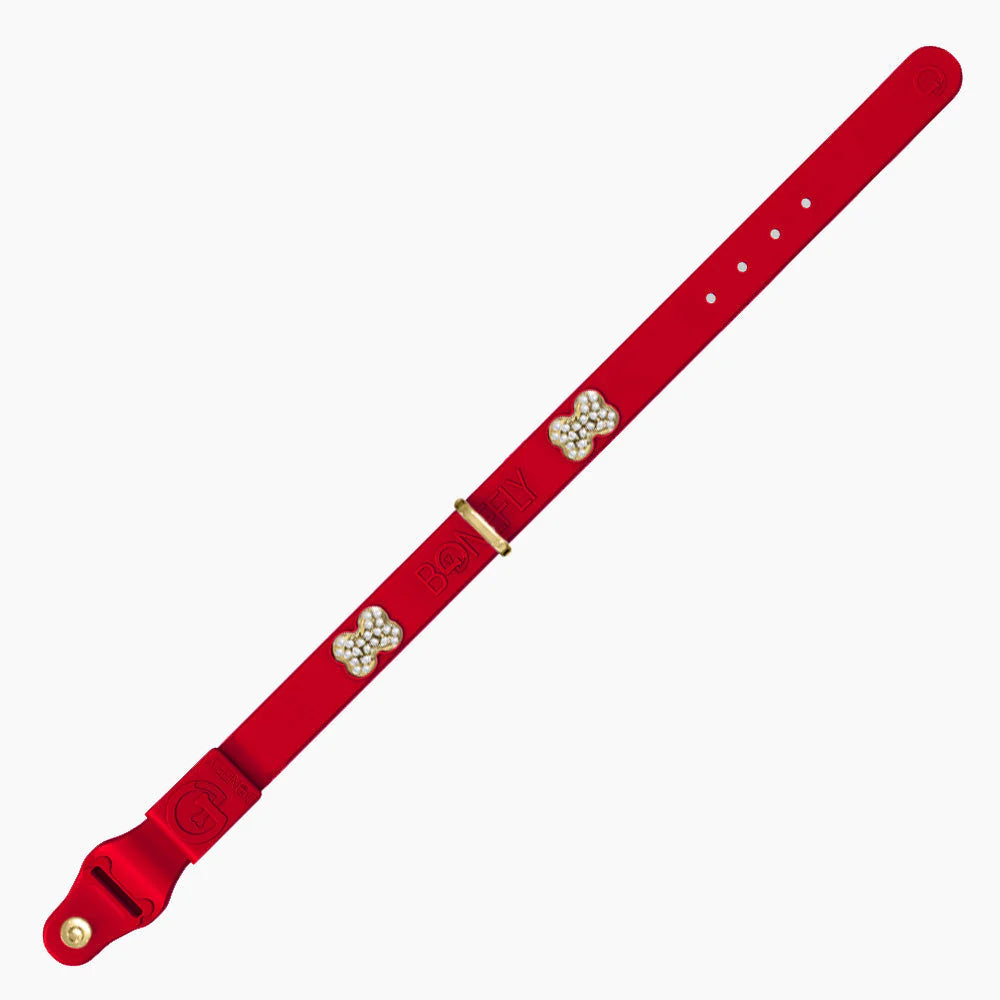 Bonefly Boneflex+ Ultra Red Collar, Gold / Clear